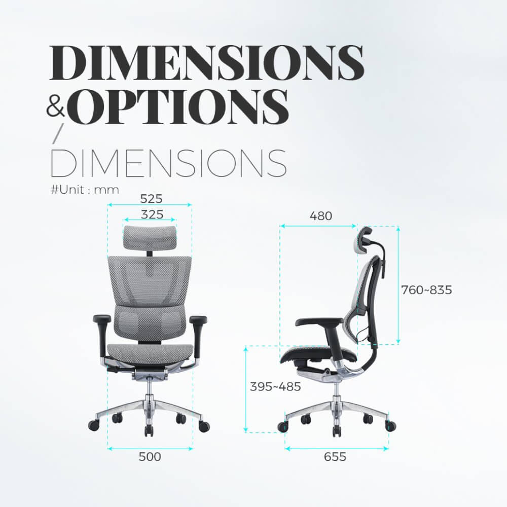 เก้าอี้เพื่อสุขภาพ DF PROCHAIR รุ่น เก้าอี้เพื่อสุขภาพ รุ่น CL-H Project สีดำ